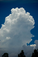 Cloud (1 of 1)